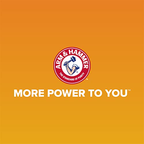 USA-Made Arm & Hammer Rimmed Cat Litter Box