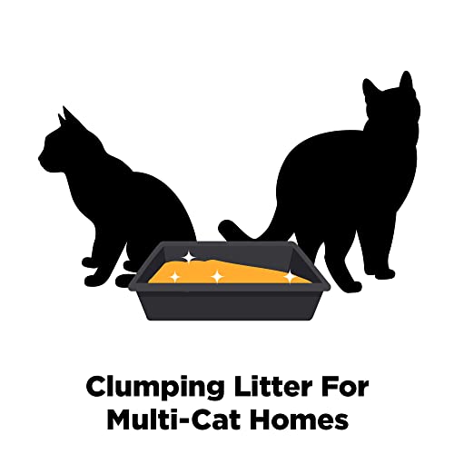ARM & HAMMER Clump & Seal Lightweight Multi-Cat Litter