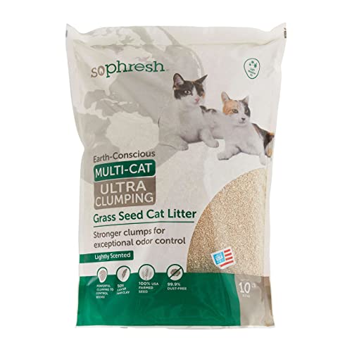 Phresh Scented Grass Seed Cat Litter, 10 lbs