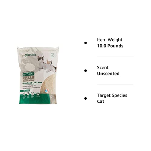 Phresh Scented Grass Seed Cat Litter, 10 lbs