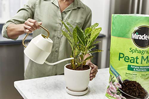Miracle-Gro Sphagnum Peat Moss, 8 qt. For Cats