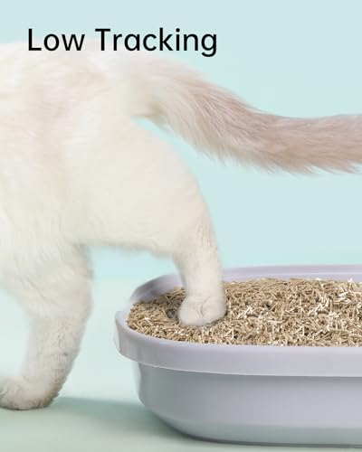 Cutepol 4-in-1 Tofu Cat Litter with Bentonite