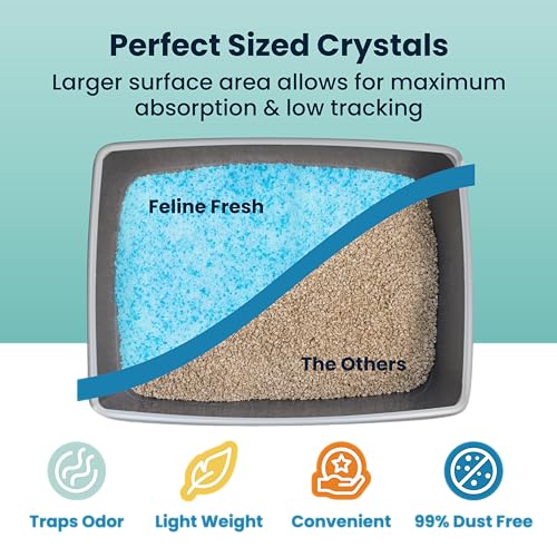 Premium Crystal Cat Litter by Feline Fresh