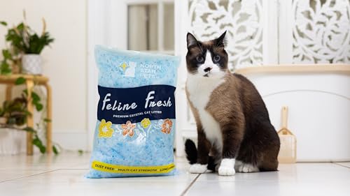 Premium Crystal Cat Litter by Feline Fresh