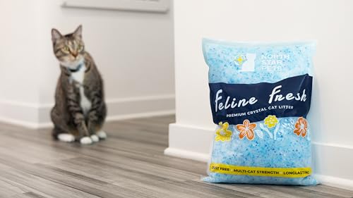 Premium Crystal Cat Litter by Feline Fresh