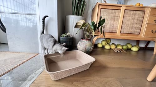 5-Pack Sustainable Disposable Litter Boxes for Cats | Portable