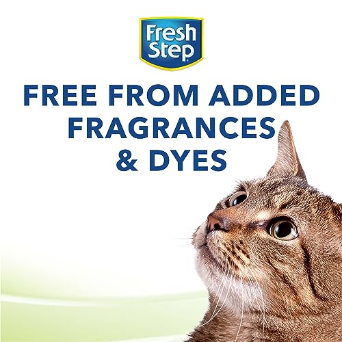 25lb Fresh Step Unscented Clumping Cat Litter - Fragrance-Free