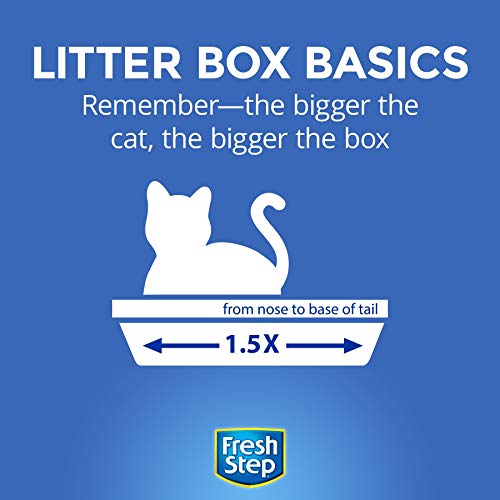 Fresh Step Extreme Scented Clumping Cat Litter, 34 lbs
