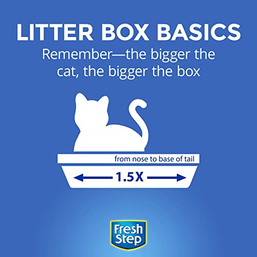 25lb Fresh Step Unscented Clumping Cat Litter - Fragrance-Free