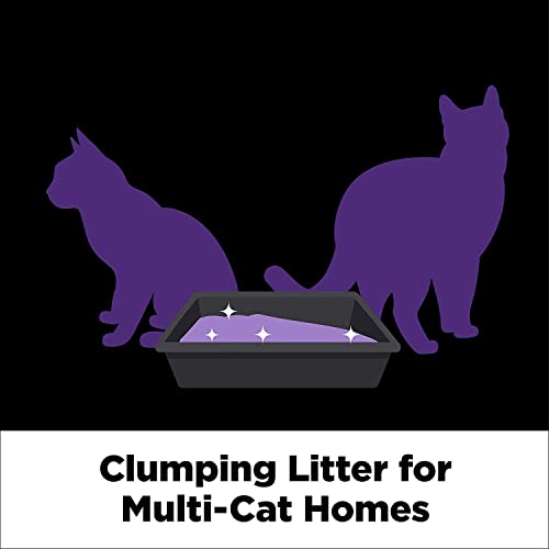 Arm & Hammer Platinum Clumping Cat Litter, 27.5lb