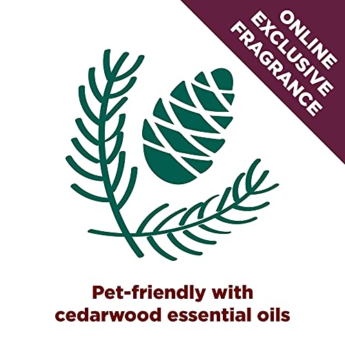 Arm & Hammer Forever Fresh Cedarwood Clumping Cat Litter