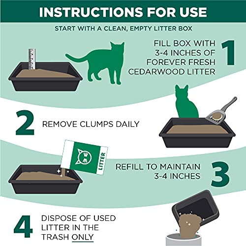 Arm & Hammer Forever Fresh Cedarwood Clumping Cat Litter