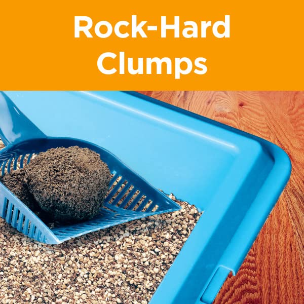 ARM & HAMMER Clump & Seal AbsorbX Cat Litter