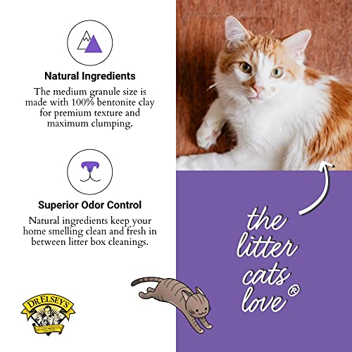 Dr. Elsey's Premium Clumping Cat Litter - Clean Tracks