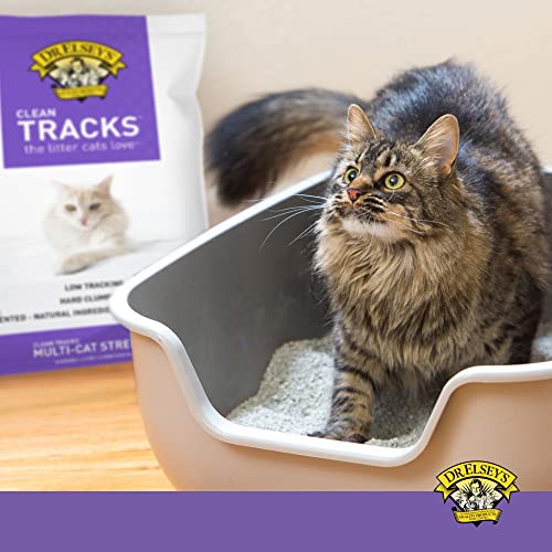Dr. Elsey's Premium Clumping Cat Litter - Clean Tracks