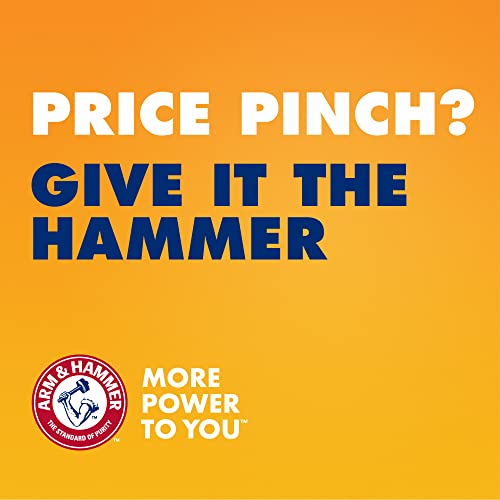 Arm & Hammer Lavender Clumping Litter 18lb, MultiCat