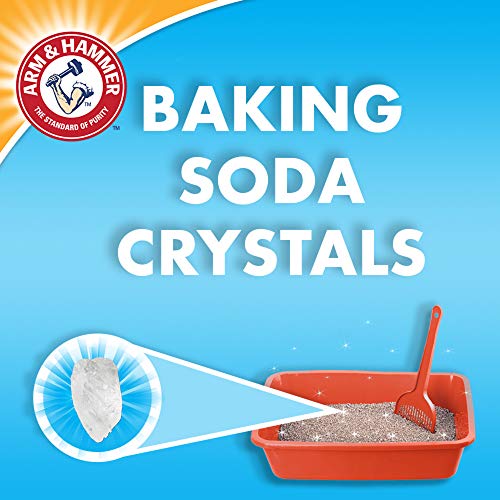 Arm & Hammer Double Duty Clumping Cat Litter 40lb