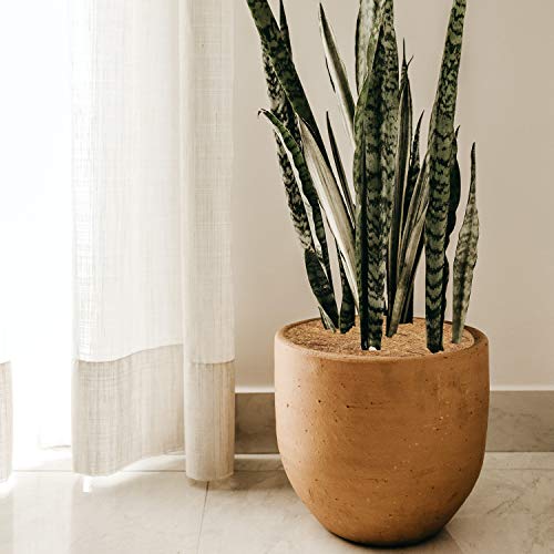 ZeeDix 3 Pcs Coconut Fiber Tree Ring Mats