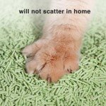 12LB/2-Pack DI BI GRAMAS Dust-Free Clumping Tofu Cat Litter