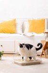 Eco-Friendly Disposable Litter Box for Cats and Small Pets