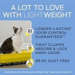 Purina Tidy Cats leichter klumpender Katzenstreu