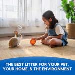 Eco-Friendly Small Animal Litter Bedding, 10 Liters