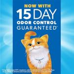 Fresh Step Unscented Clumping Cat Litter, 37 Pounds (2 Pack)