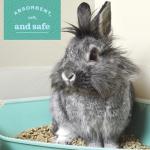 Eco Straw Pelleted Wheat Litter for Small Animals