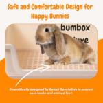 HoppScotch.bun Deluxe Rabbit Litter Box: Large, Safe, Easy