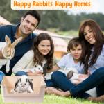 HoppScotch.bun Deluxe Rabbit Litter Box: Large, Safe, Easy