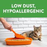 Feline Pine Platinum Non-Clumping Cat Litter 18lb