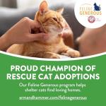 Feline Pine Platinum Non-Clumping Cat Litter 18lb