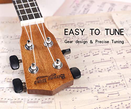 Beginner's Soprano Ukulele - Solid Mahogany 21" with Gig Bag