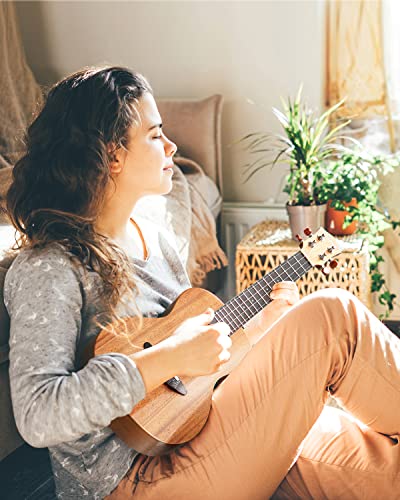 Donner Soprano Ukulele Mahogany Beginner Kit - DUS-1