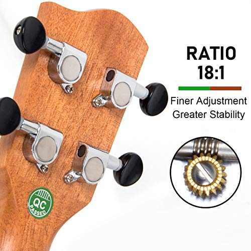 Tenor Ukulele Bundle for Adults with Gig Bag