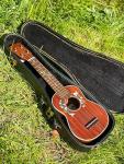 Hummingbird Ukulele Sound-Hole Inlay Stickers Decals