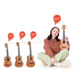 Donner Tenor Ukulele Mahogany Bundle Kit & Free Lesson