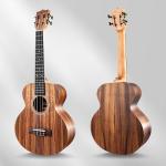 Caramel Concert Ukulele Kit with Acacia Wood