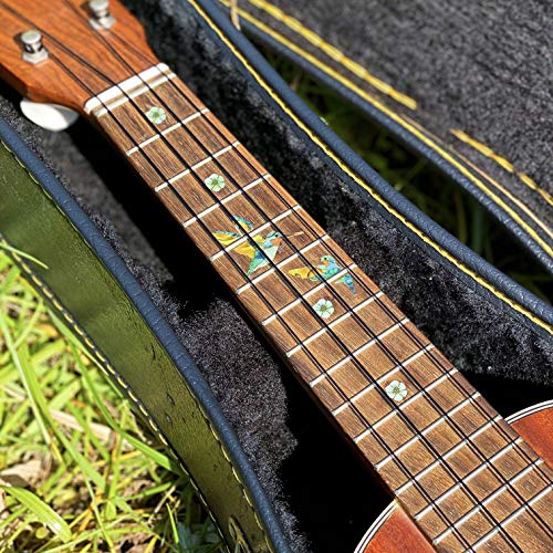 Bee Hummingbirds - Decorate Your Ukulele with Inlays
