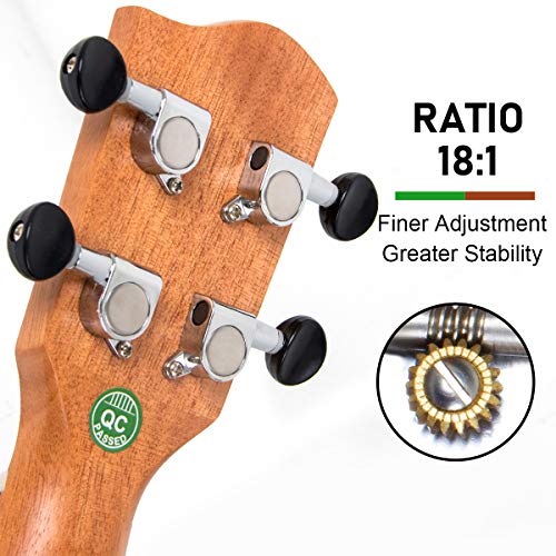 Professional Baritone Ukulele Kit for Adults with Gig Bag