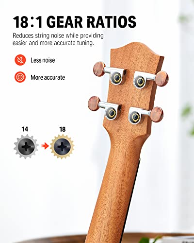 Donner Concert Ukulele Mahogany 23 Inch Uke Kit