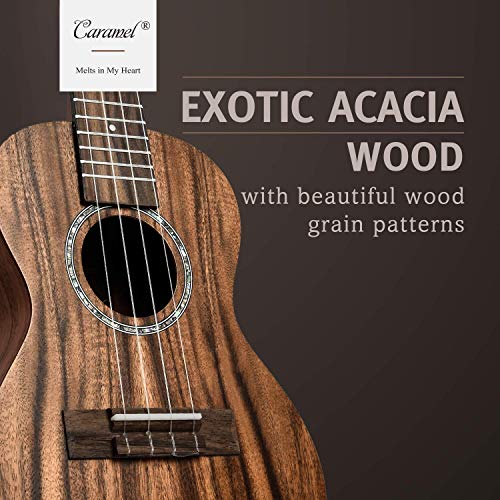 Caramel Concert Ukulele Kit with Acacia Wood