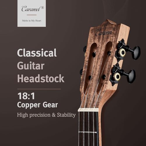 Caramel Concert Ukulele Kit with Acacia Wood