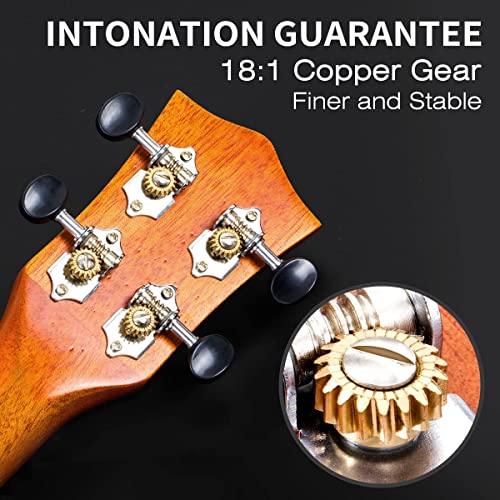AKLOT Solid Mahogany Concert Ukulele Kit for Adults