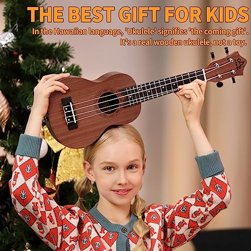 Tenor Ukulele Starter Kit for Beginner Adult Kid