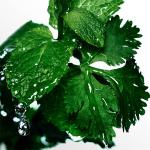 Davidoff Cool Water Men's EDT Spray 6.7 oz