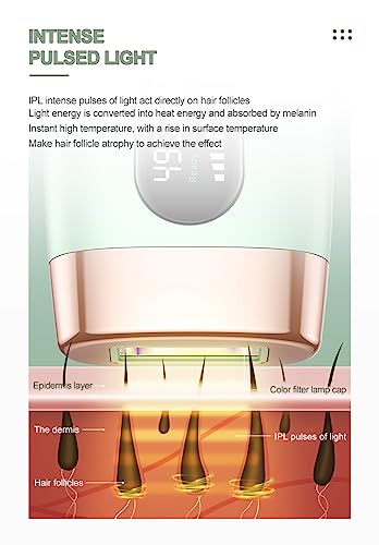 Painless Hair Removal Kit for All Areas