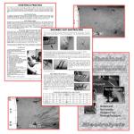 Aavexx 300 Transdermal Epilation System for Home Use