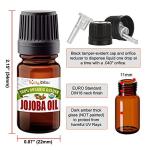 37PC Ear Stretching Kit with Aftercare Oil