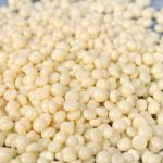 Portable Nose Wax Kit for Hair Removal